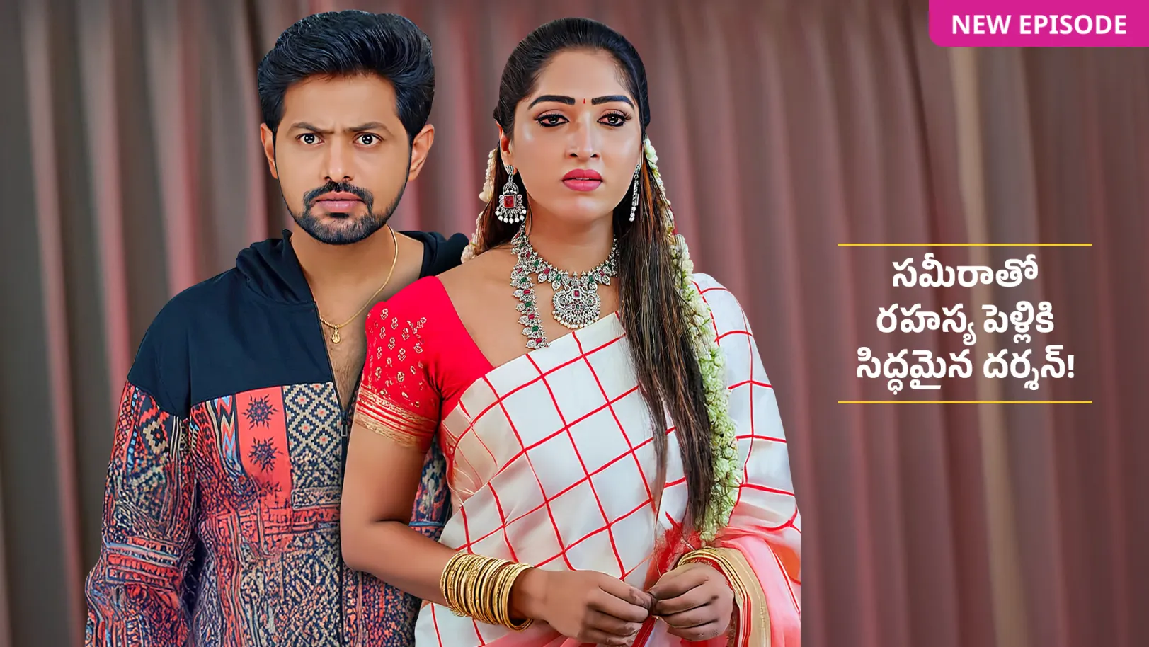Ummadi Kutumbam TV Show
