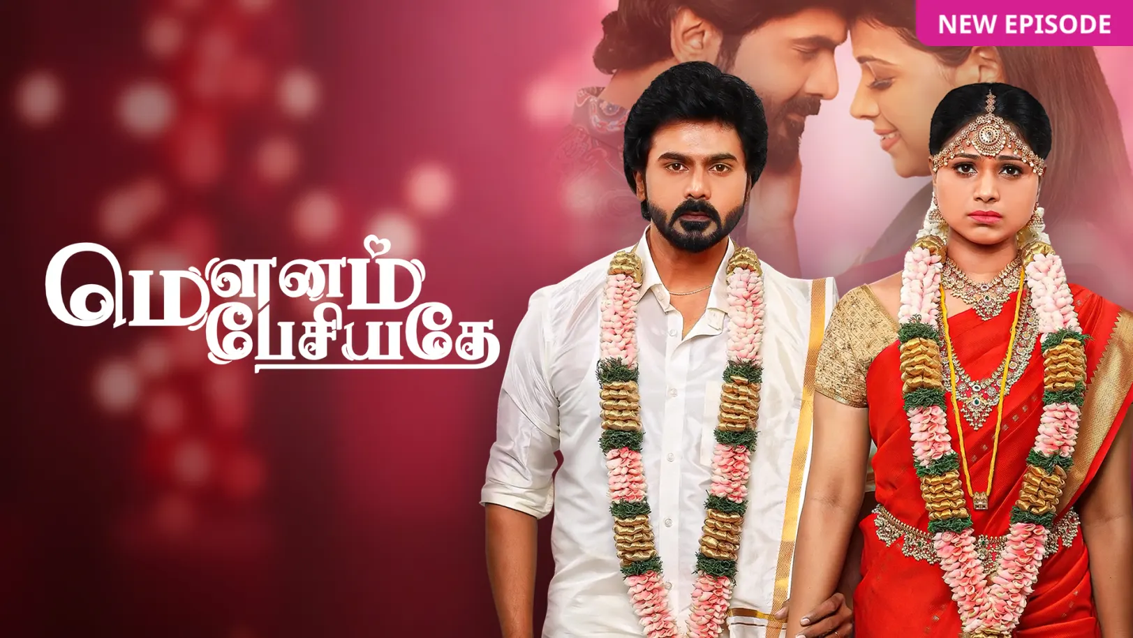 Mounam Pesiyadhe TV Show