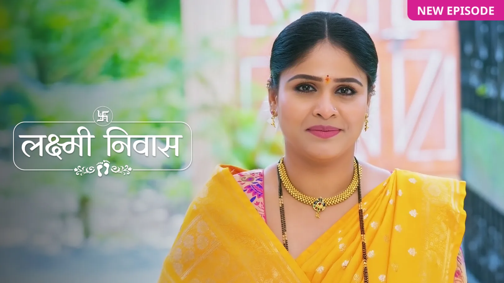 Lakshmi Niwas TV Show