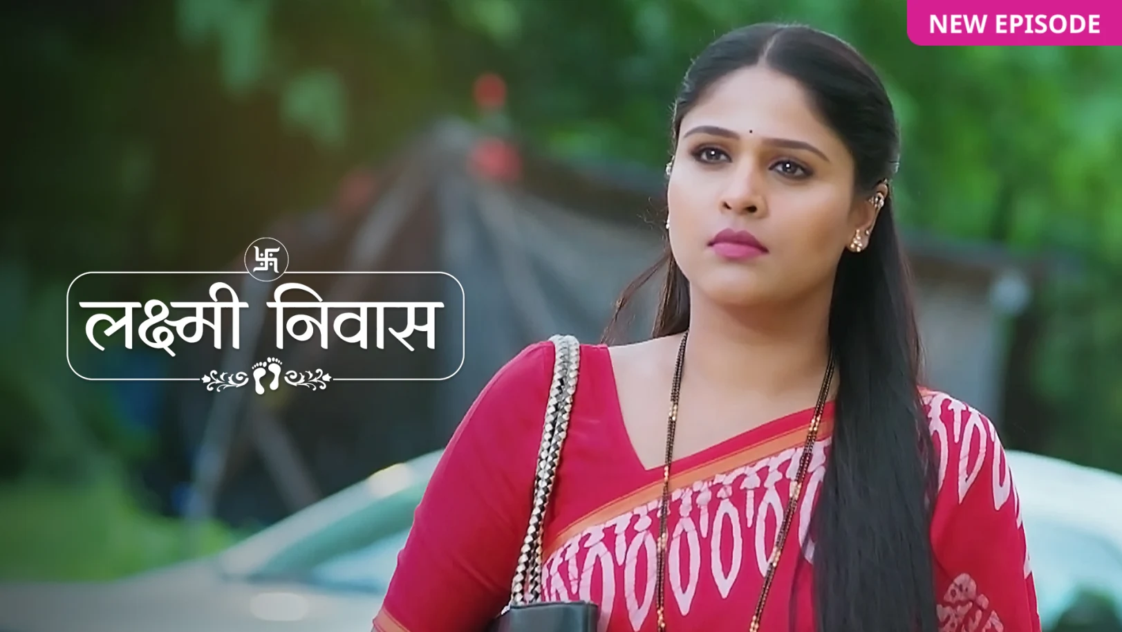 Lakshmi Niwas TV Show