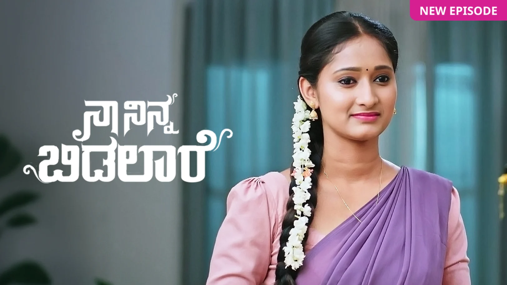Naa Ninna Bidalaare TV Show