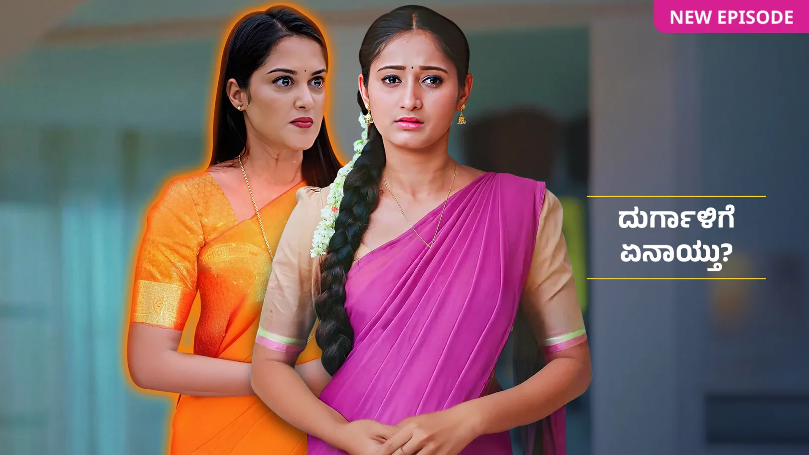 Naa Ninna Bidalaare TV Show