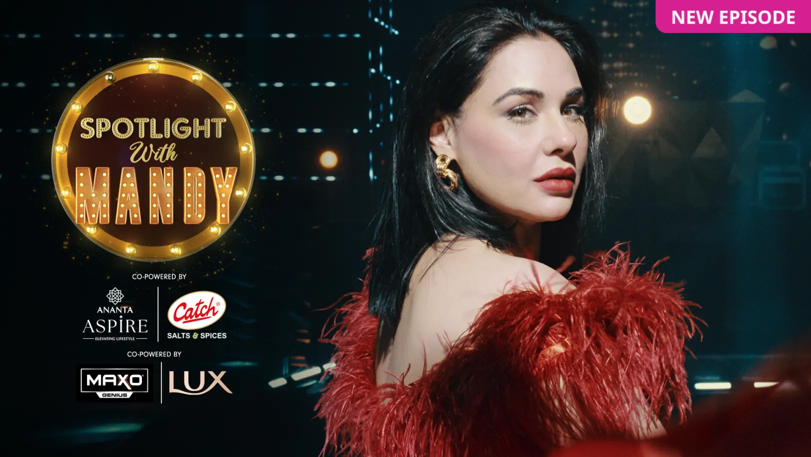 Spotlight With Mandy TV Show