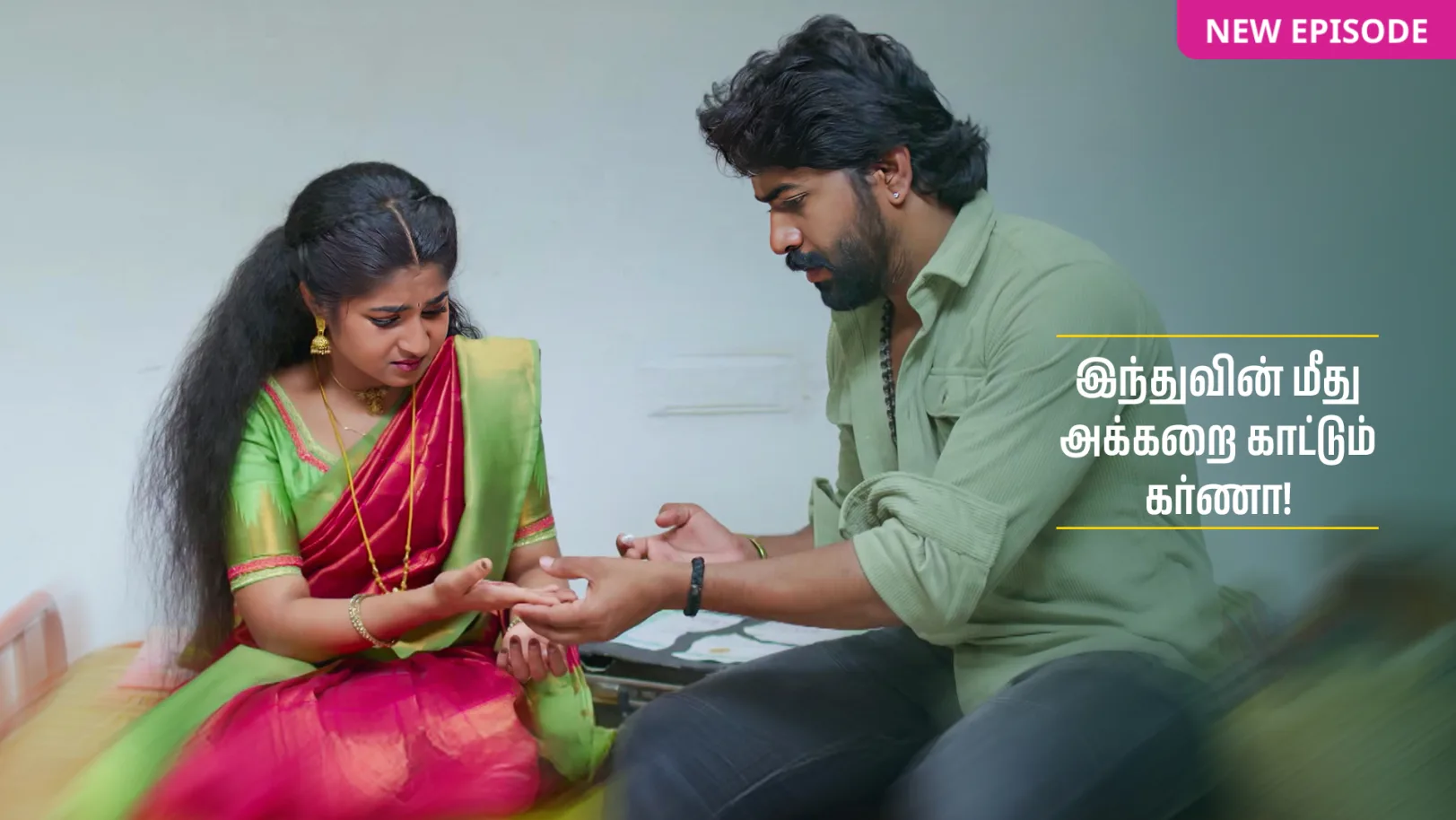 Chinnan Siru Kiliye TV Show