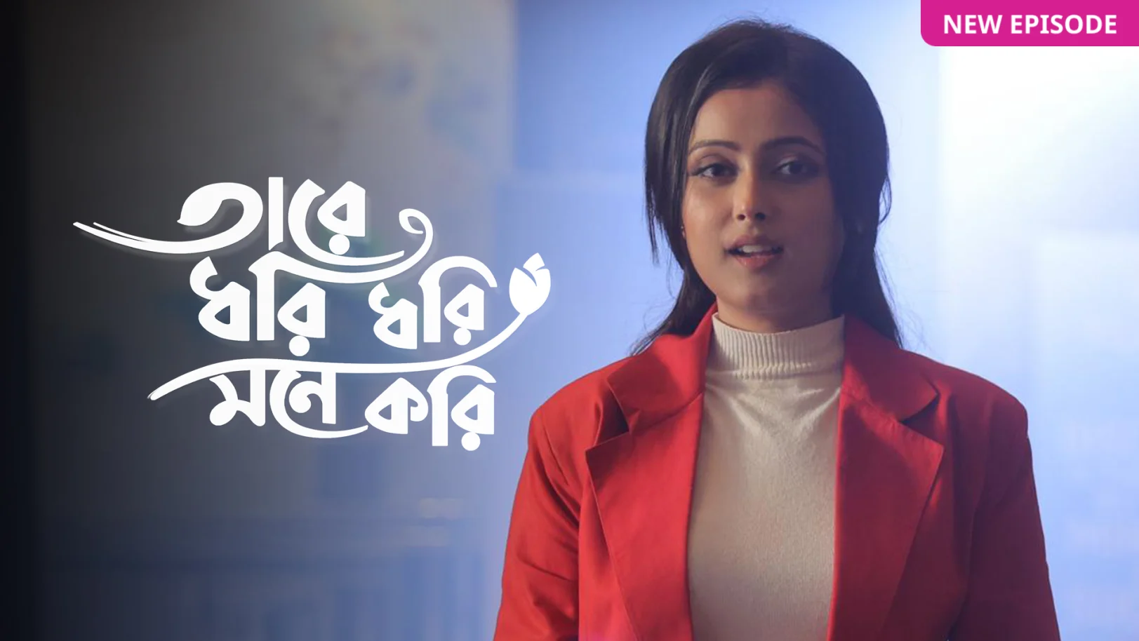 Taare Dhori Dhori Mone Kori TV Show