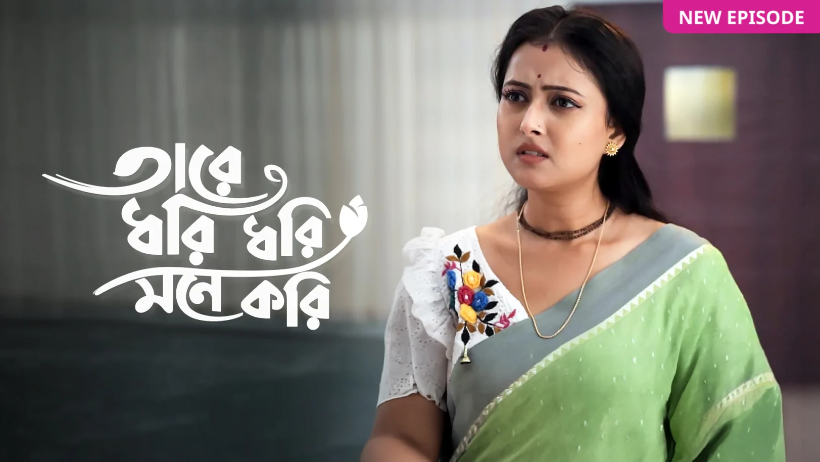 Tare Dhori Dhori Mone Kori TV Show