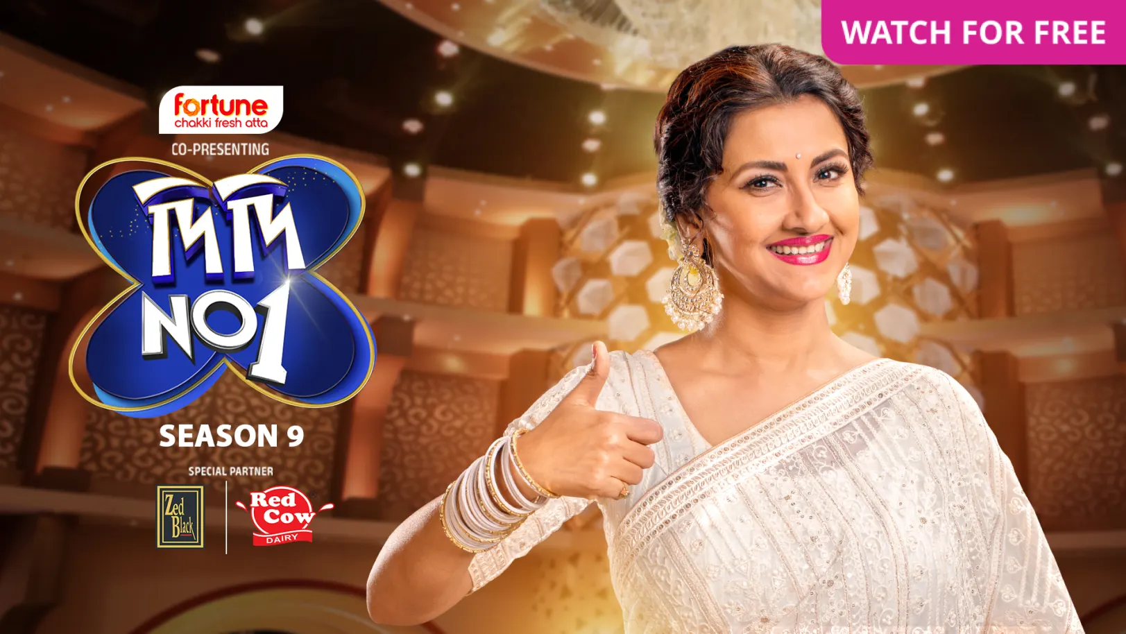 Didi No.1 Season 9 TV Show