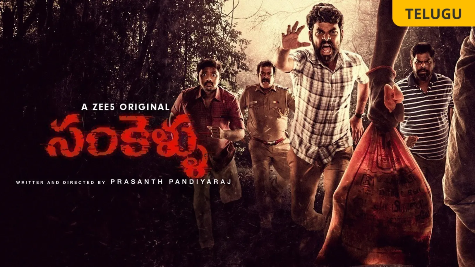 Sankellu Web Series