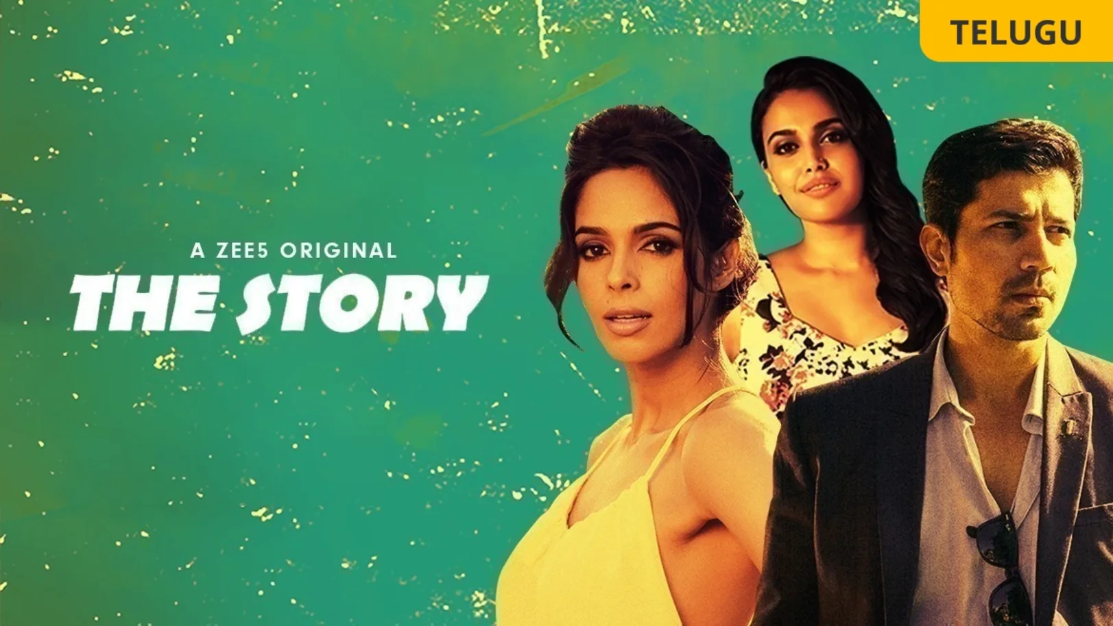 The Story Web Series