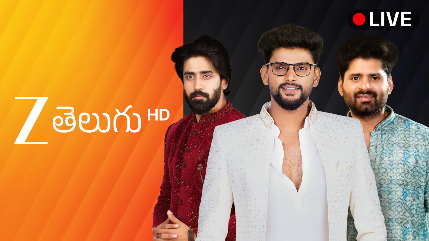 Zee Telugu HD Live TV