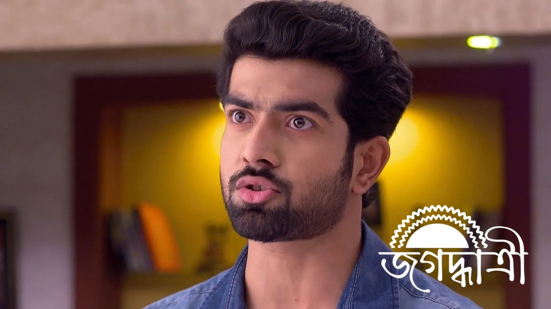 Watch Jagadhatri TV Serial 19th April 2024 Full Episode 599 Online on ZEE5