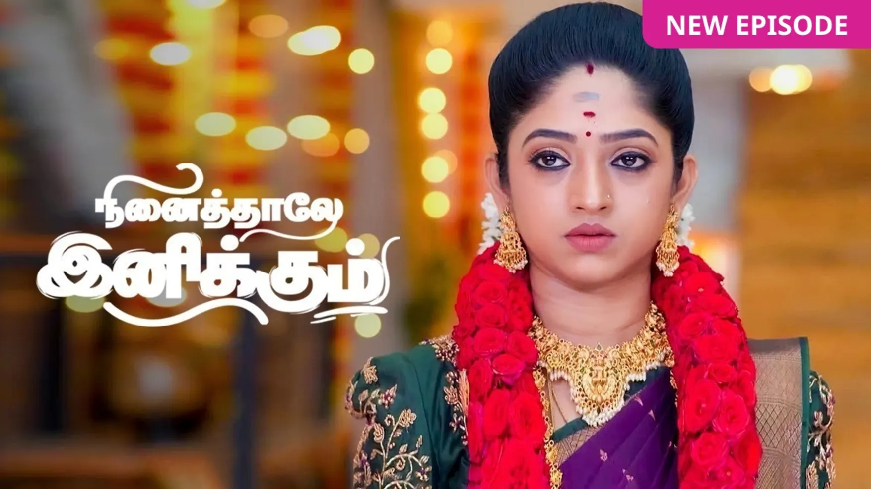 Ninaithale Inikkum TV Serial Online - Watch Tomorrow's Episode Before ...
