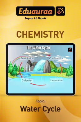 Learn About The Water Cycle