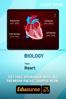 Learn About The Human Circulatory System