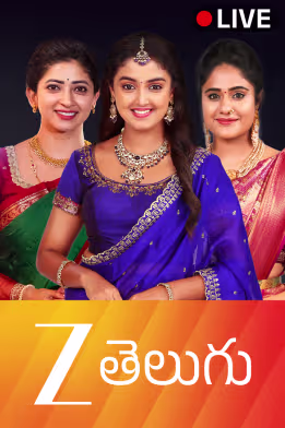 Zee Telugu