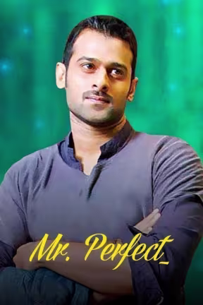 Mr. Perfect