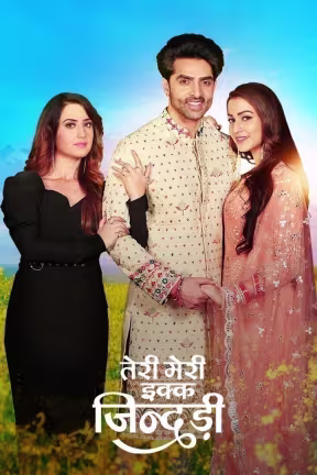 Teri Meri Ikk Jindri