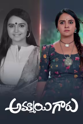 Ammayi Garu