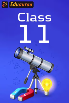 11th | Learning