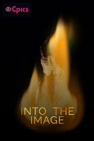 Into The Image Movie