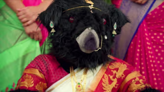 Uma Devi's Wedding Festivities