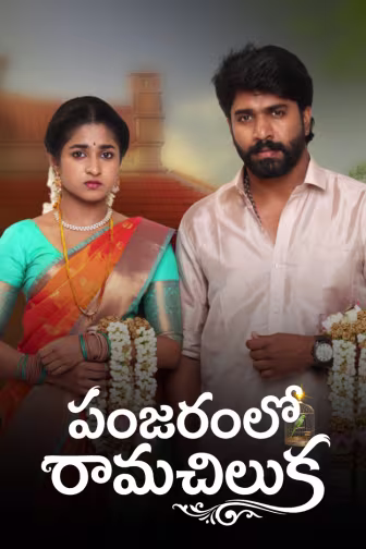 Panjaram lo Ramachiluka