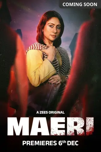 Watch bollywood web series online 2025