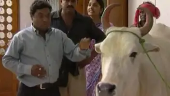 Amrutham serial all episodes watch online online