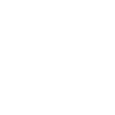 Zee Zest HD
