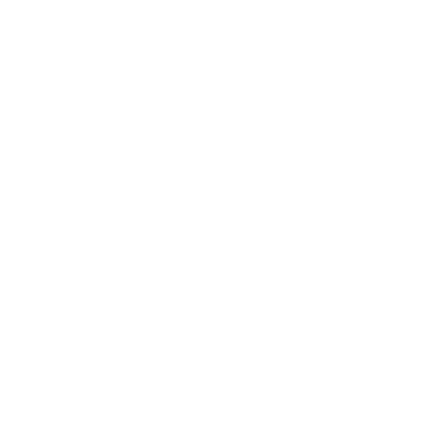 Zee Action