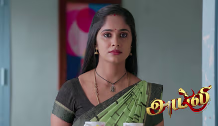 Ayali Faces a Dilemma