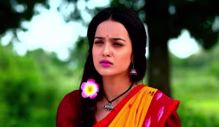 Raghunath Learns about Parvati's Problem