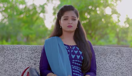 Arya reminisces about Anu - Prema Entha Maduram
