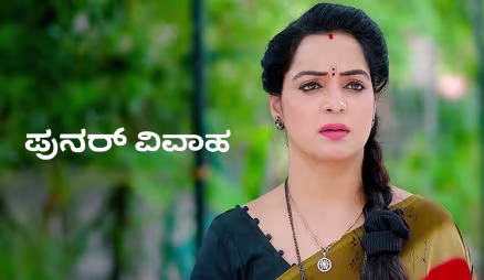 Punarvivaha