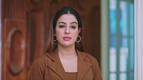 Watch Naa Ninna Bidalaare TV Serial 25th April 2025 Full Episode