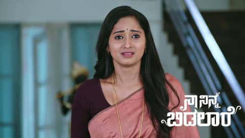 Watch Naa Ninna Bidalaare TV Serial 10th June 2026 Full Episode