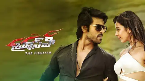 Bruce lee fights in telugu store
