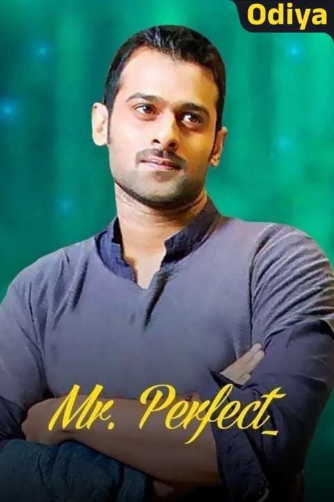 Mr. Perfect Movie Mr. Perfect Movie