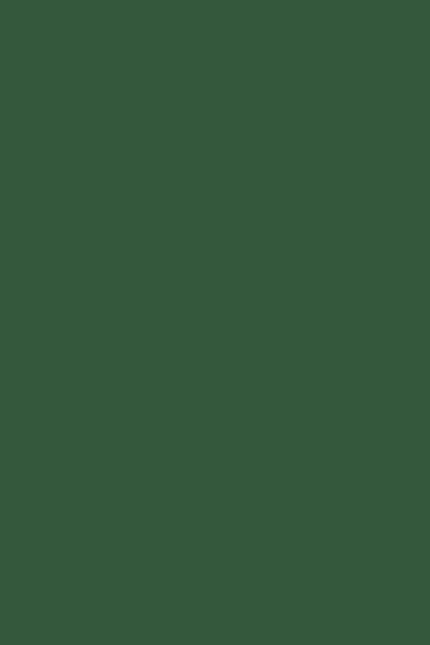 EXLINK TEST EXLINK TEST