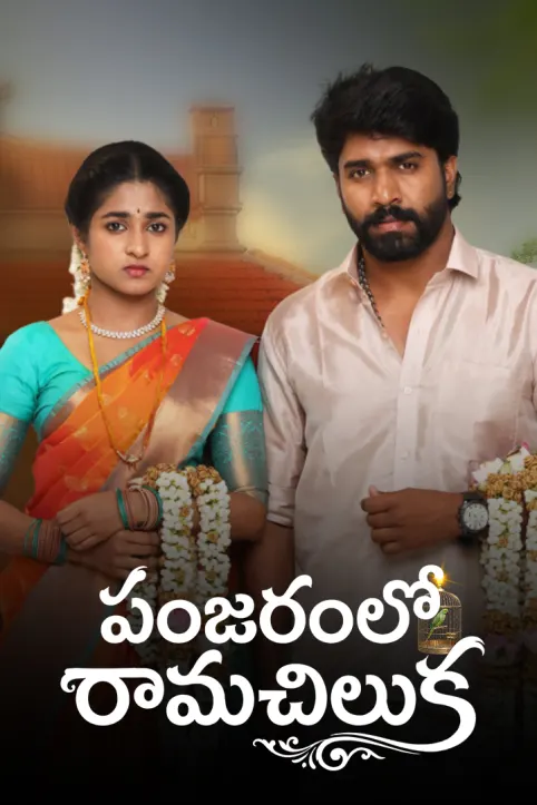Panjaram lo Ramachiluka TV Show