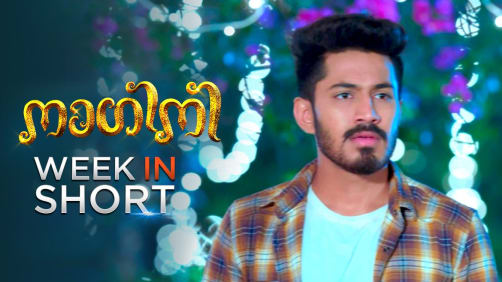 Watch Nagini Jul 7 2020 Full Episode Online In Hd Zee5 Nagini #zeekeralam #malayalam #serial #promo this video made for promote the show nagini in zee keralam. watch nagini jul 7 2020 full episode