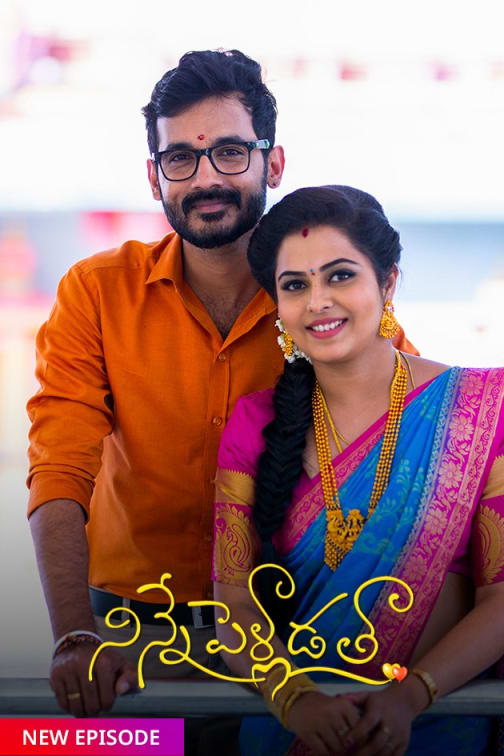 Ninne Pelladatha TV Show