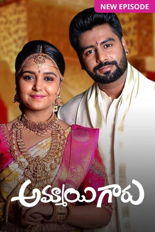 Ammayi Garu TV Show