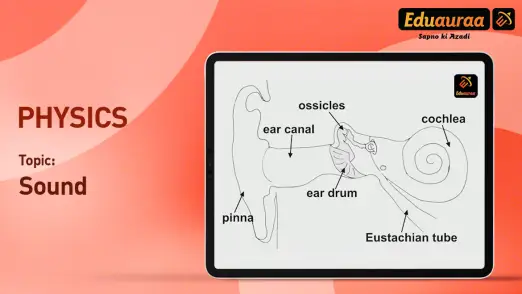 The Human Ear | Hindi 