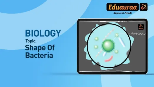 The Shape of Bacteria 