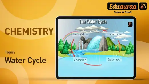 Learn About The Water Cycle 