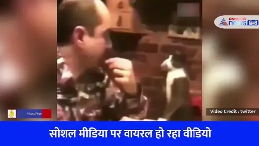 Cat talking in sign language 