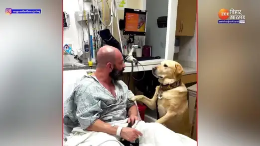Viral Video owner got heart sick service dog served him day and night 