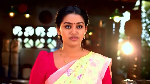 Pushpa Threatens Meenakshi Episode 9