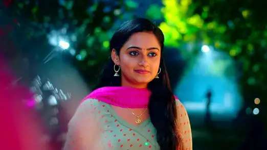 Subbu and Vishwanath Return Home Episode 71